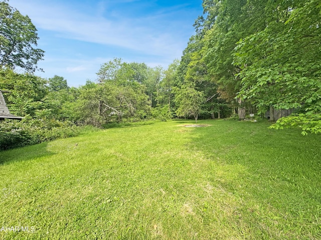 180 Old Nanty Glo Rd, Nanty-Glo, PA 15943 - photo 7