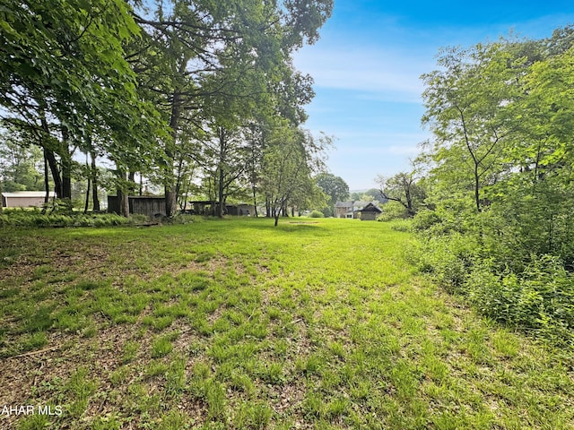 180 Old Nanty Glo Rd, Nanty-Glo, PA 15943 - photo 8