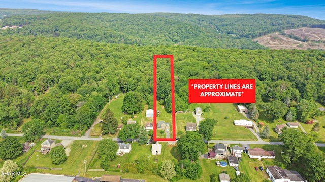 180 Old Nanty Glo Rd, Nanty-Glo, PA 15943 - photo 10