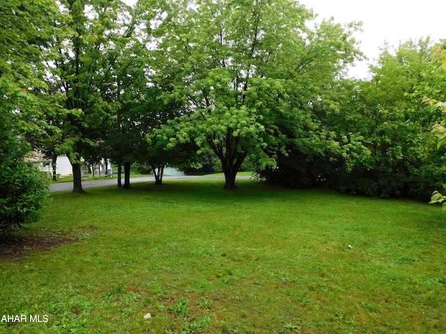 315-323 E 23rd Ave, Altoona, PA 16601 - view of grassy yard
