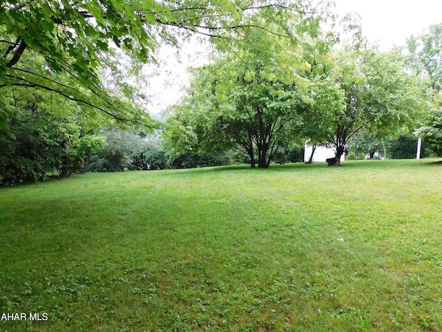 315-323 E 23rd Ave, Altoona, PA 16601 - view of green lawn