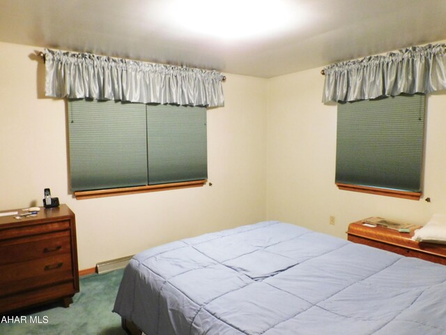 315-323 E 23rd Ave, Altoona, PA 16601 - view of carpeted bedroom