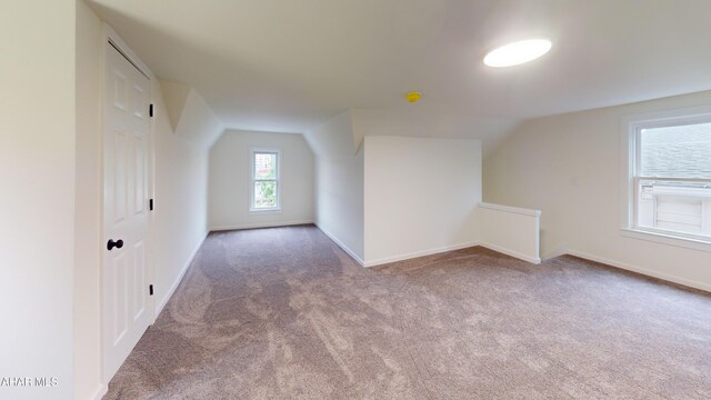 2602 W Chestnut Ave, Altoona, PA 16601 - additional living space featuring carpet flooring and vaulted ceiling