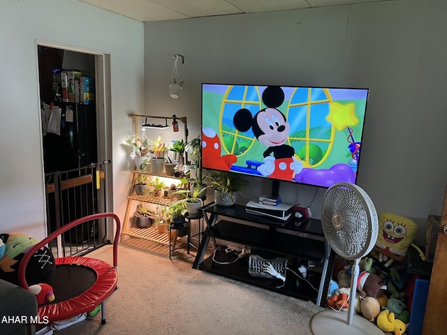 playroom featuring carpet