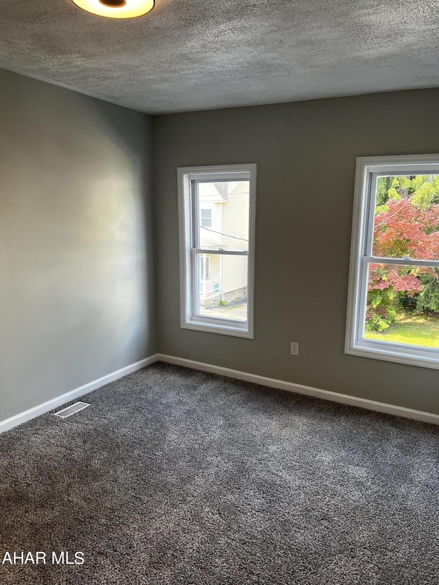 carpeted empty room featuring a textured ceiling and a healthy amount of sunlight