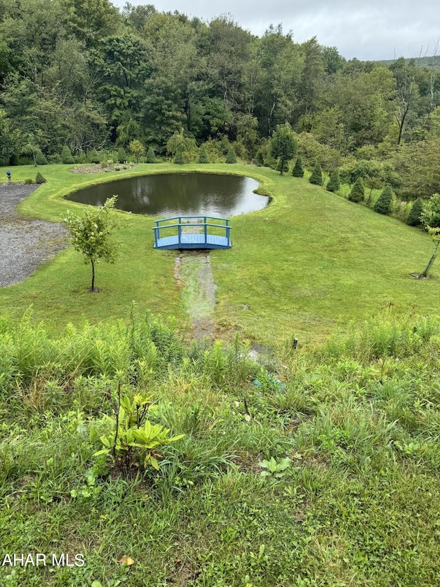 view of community with a water view and a lawn