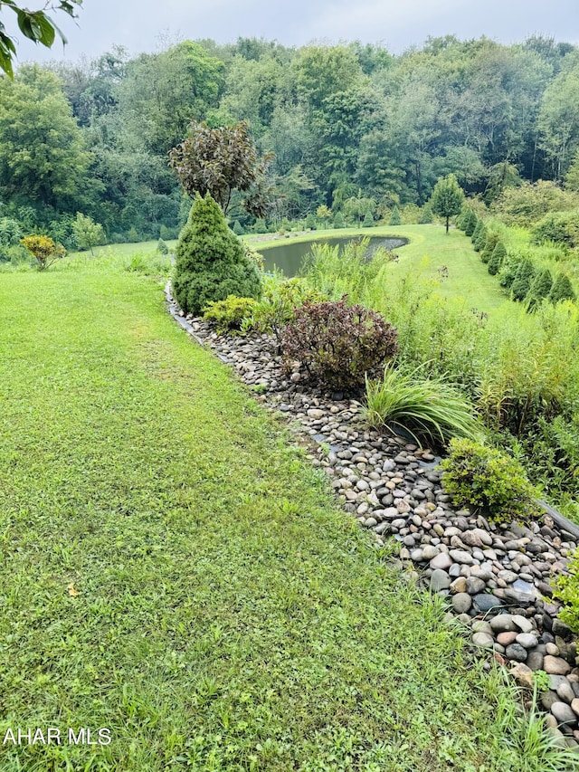 view of yard featuring a water view