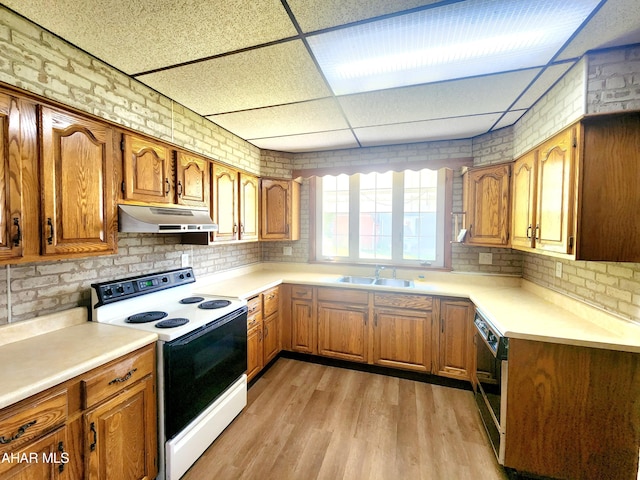 kitchen featuring a paneled ceiling, sink, light hardwood / wood-style flooring, electric range, and brick wall