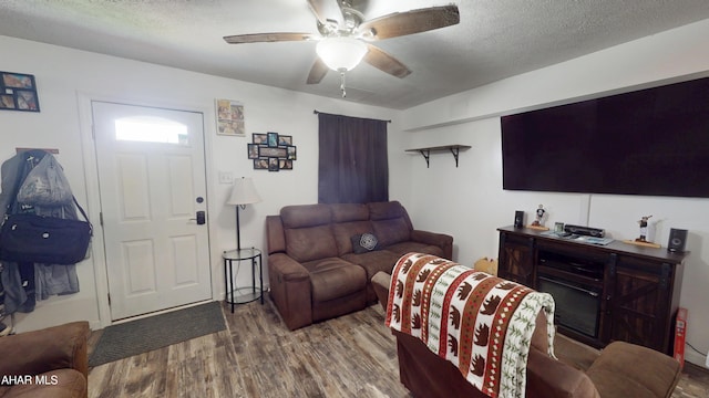 1407 N 5th Ave, Altoona, PA 16601 - living room featuring wood finished floors, ceiling fan, and a textured ceiling