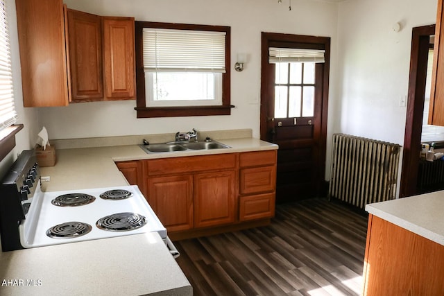 kitchen featuring white electric range oven, radiator heating unit, dark wood-type flooring, and sink