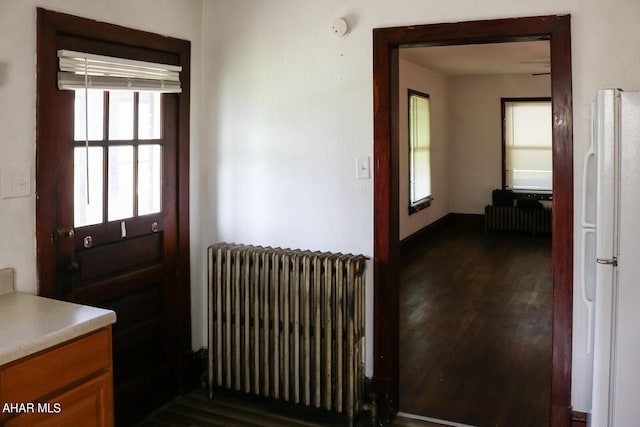 interior space with radiator heating unit and dark wood-type flooring