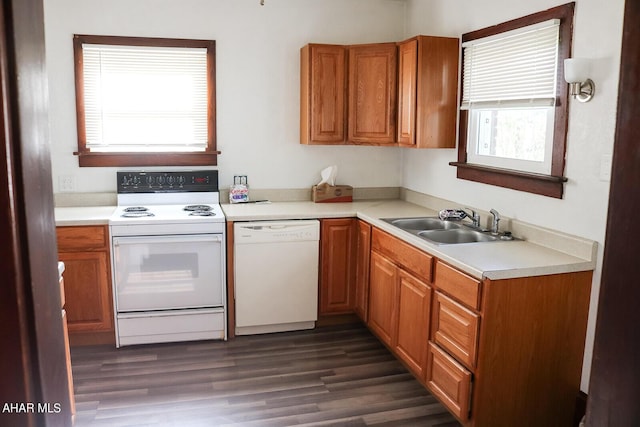 kitchen with dark hardwood / wood-style flooring, white appliances, and a healthy amount of sunlight