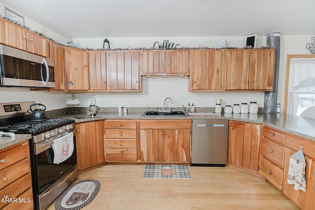 kitchen with light hardwood / wood-style floors, sink, and stainless steel appliances