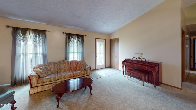 1647 Saint Francis Ln, Altoona, PA 16602 - living area featuring carpet, a textured ceiling, and lofted ceiling