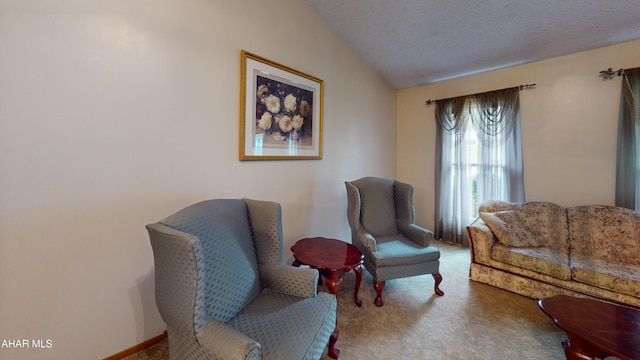 1647 Saint Francis Ln, Altoona, PA 16602 - carpeted living area with vaulted ceiling