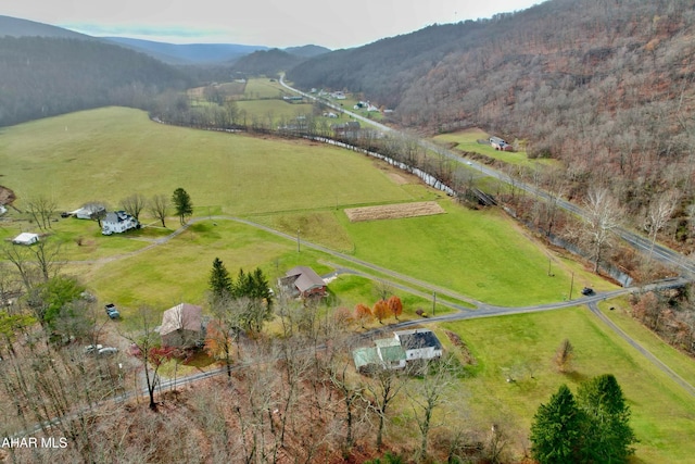 bird's eye view featuring a mountain view and a rural view