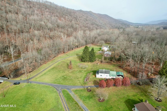 bird's eye view with a mountain view