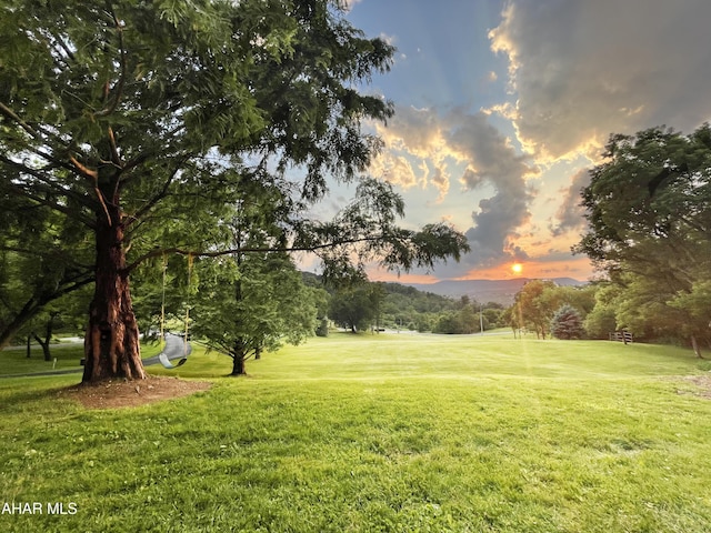 259 Chimney Rocks Rd, Hollidaysburg, PA 16648 - view of property's community featuring a lawn