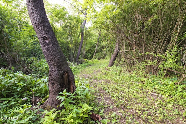 259 Chimney Rocks Rd, Hollidaysburg, PA 16648 - view of tree filled area