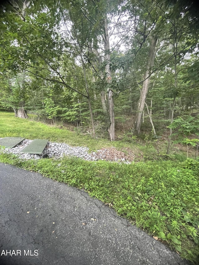 245 Harmony Dr, Altoona, PA 16601 - photo 7