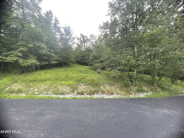 245 Harmony Dr, Altoona, PA 16601 - photo 15
