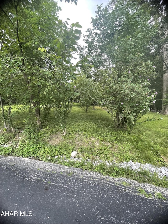 245 Harmony Dr, Altoona, PA 16601 - photo 8