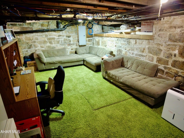 basement with carpet flooring and electric panel