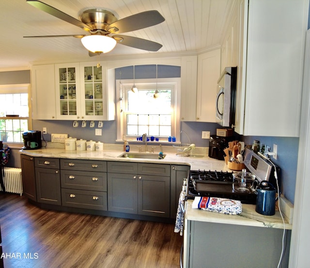 kitchen featuring dark hardwood / wood-style flooring, stainless steel appliances, sink, white cabinets, and radiator heating unit