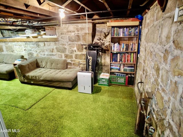 basement with carpet