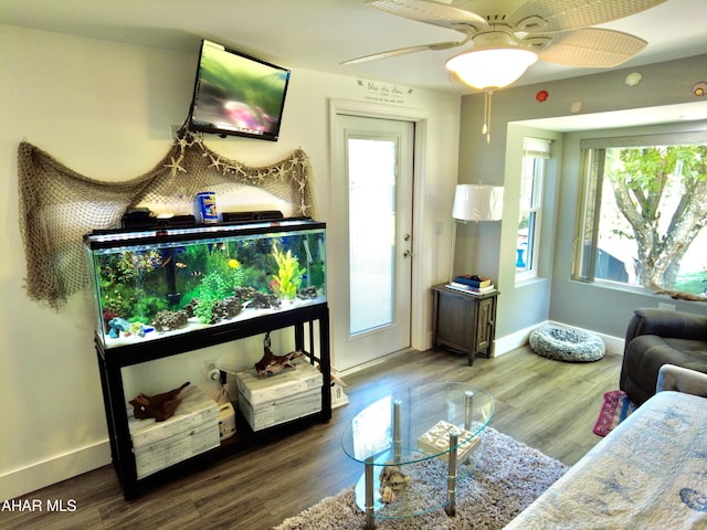 living room featuring hardwood / wood-style floors and ceiling fan