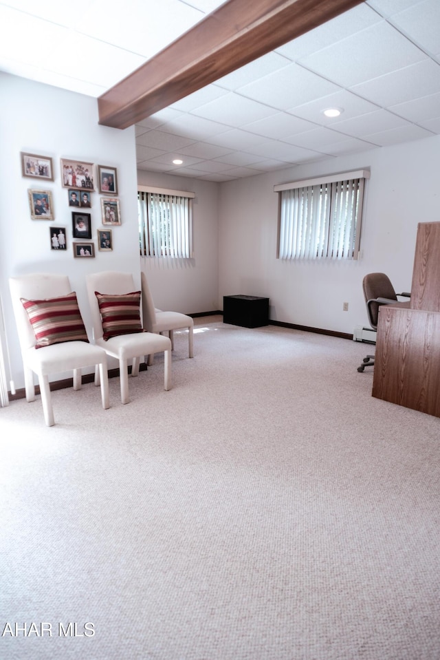 585 Overlook Dr, Hollidaysburg, PA 16648 - photo 44