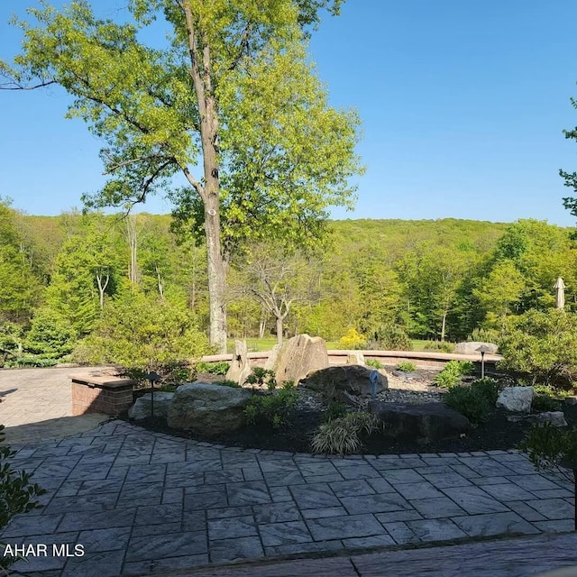 view of patio featuring a view of trees