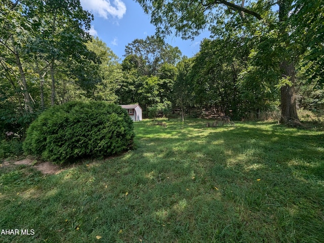 view of yard with a shed