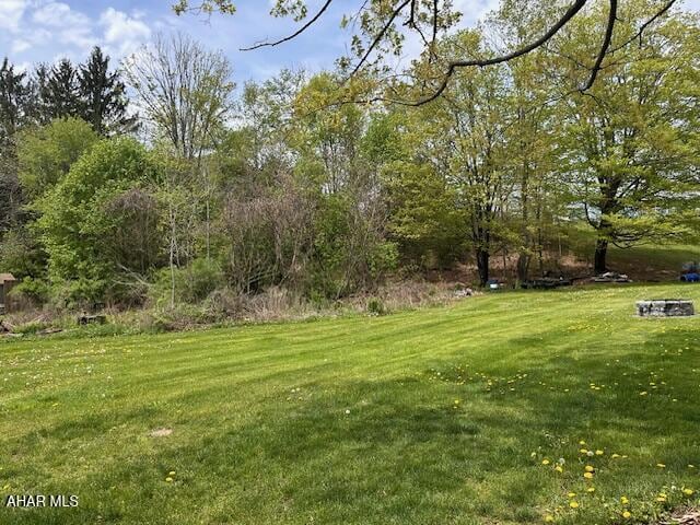 193 Pavia Rd, Imler, PA 16655 - view of green lawn