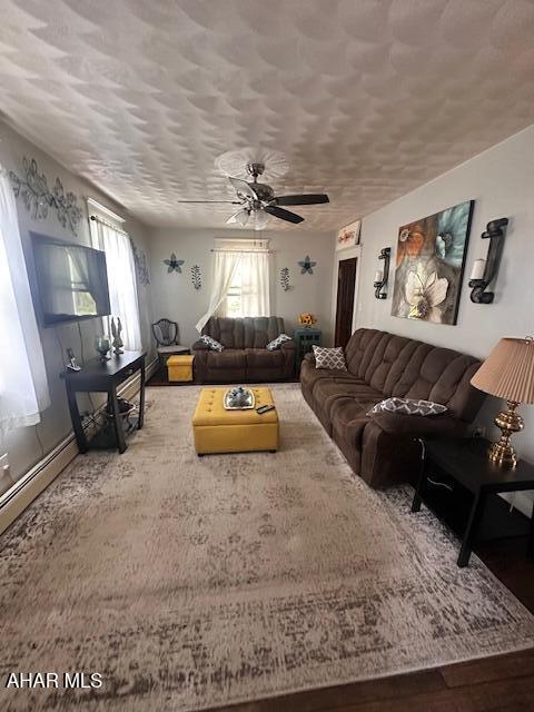 193 Pavia Rd, Imler, PA 16655 - living room with healthy amount of natural light, a textured ceiling, ceiling fan, and wood finished floors