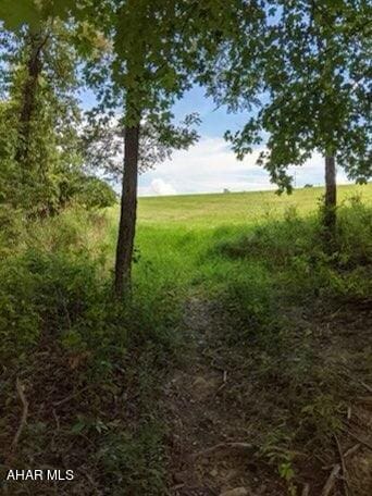 view of nature with a rural view