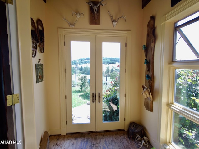 doorway to outside featuring french doors and a healthy amount of sunlight