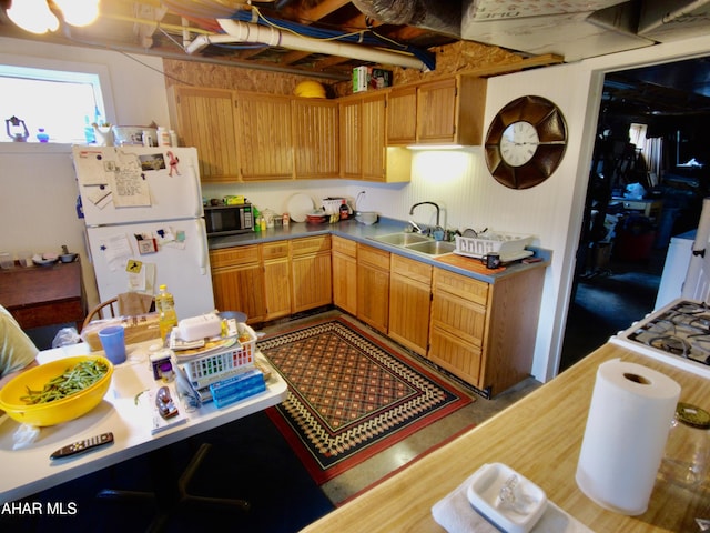 kitchen with sink and white refrigerator