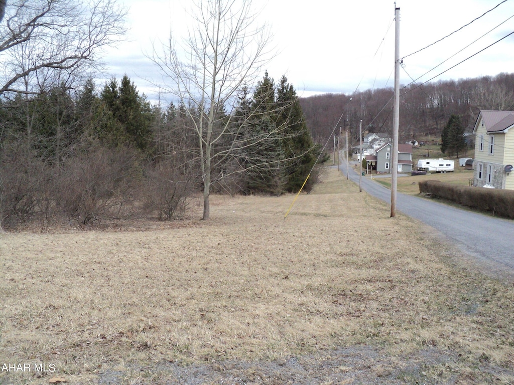 00 Scanlon Hill Rd, Lilly, PA 15938 - photo 4