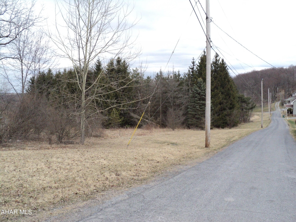 00 Scanlon Hill Rd, Lilly, PA 15938 - photo 2