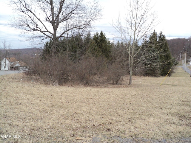 00 Scanlon Hill Rd, Lilly, PA 15938 - photo 3