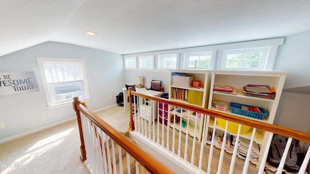 423 Cedar Blvd, Hollidaysburg, PA 16648 - photo 19