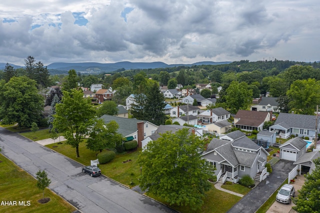 423 Cedar Blvd, Hollidaysburg, PA 16648 - photo 29