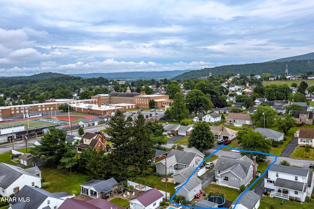423 Cedar Blvd, Hollidaysburg, PA 16648 - photo 28
