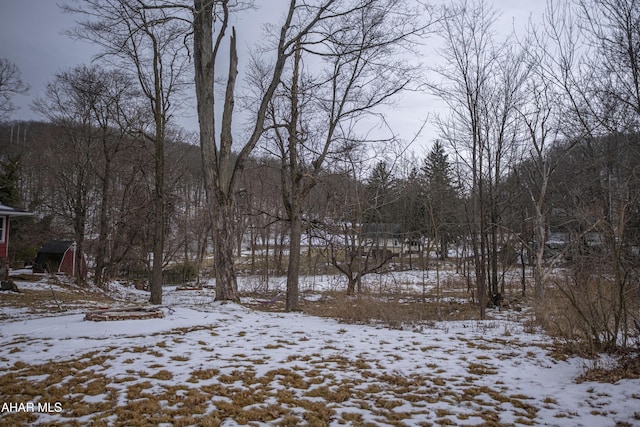 view of snowy yard