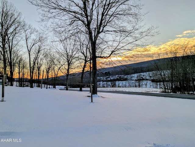 yard layered in snow with a mountain view