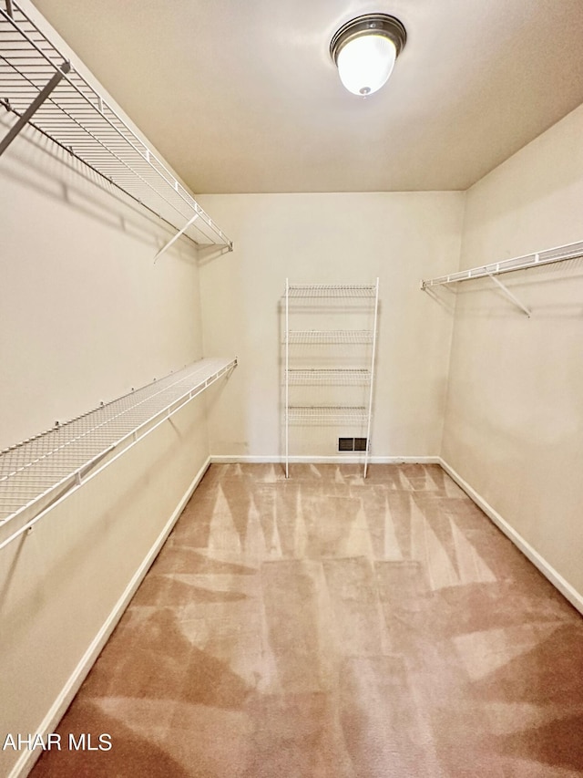 walk in closet with carpet floors