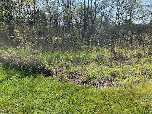 OFF Egolf Rd, Bedford, PA 15522