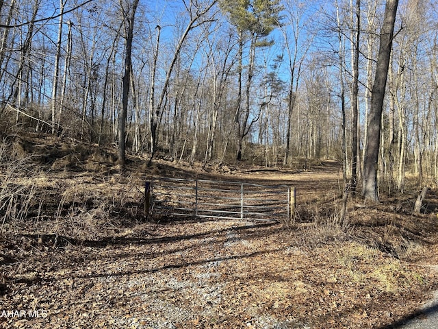 0 Hundred Springs Rd, Tyrone, PA 16686