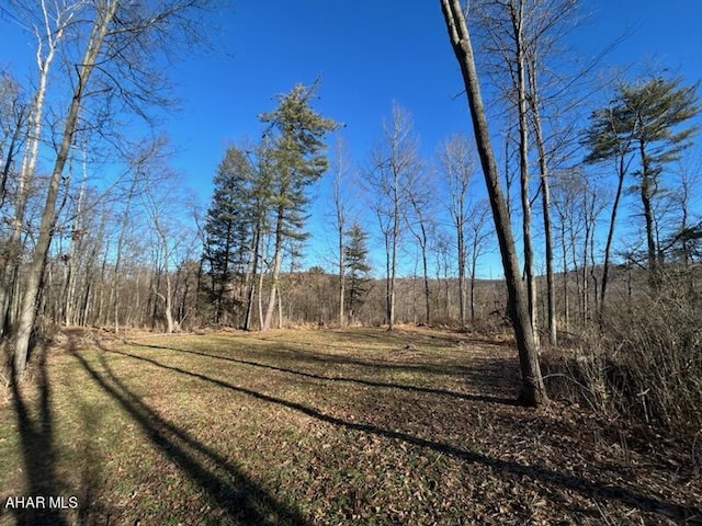 0 Hundred Springs Rd, Tyrone PA, 16686 land for sale